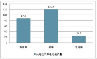 2019-2025年中國純電動汽車市場調查與投資戰略分析報告
